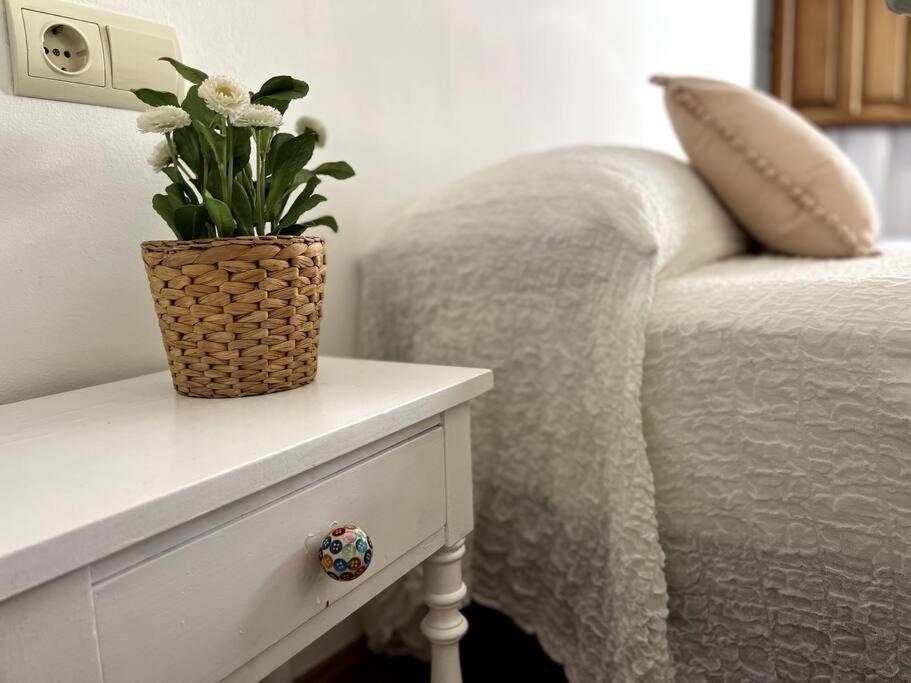 Apartamento Muy Centrico En غرناطة المظهر الخارجي الصورة